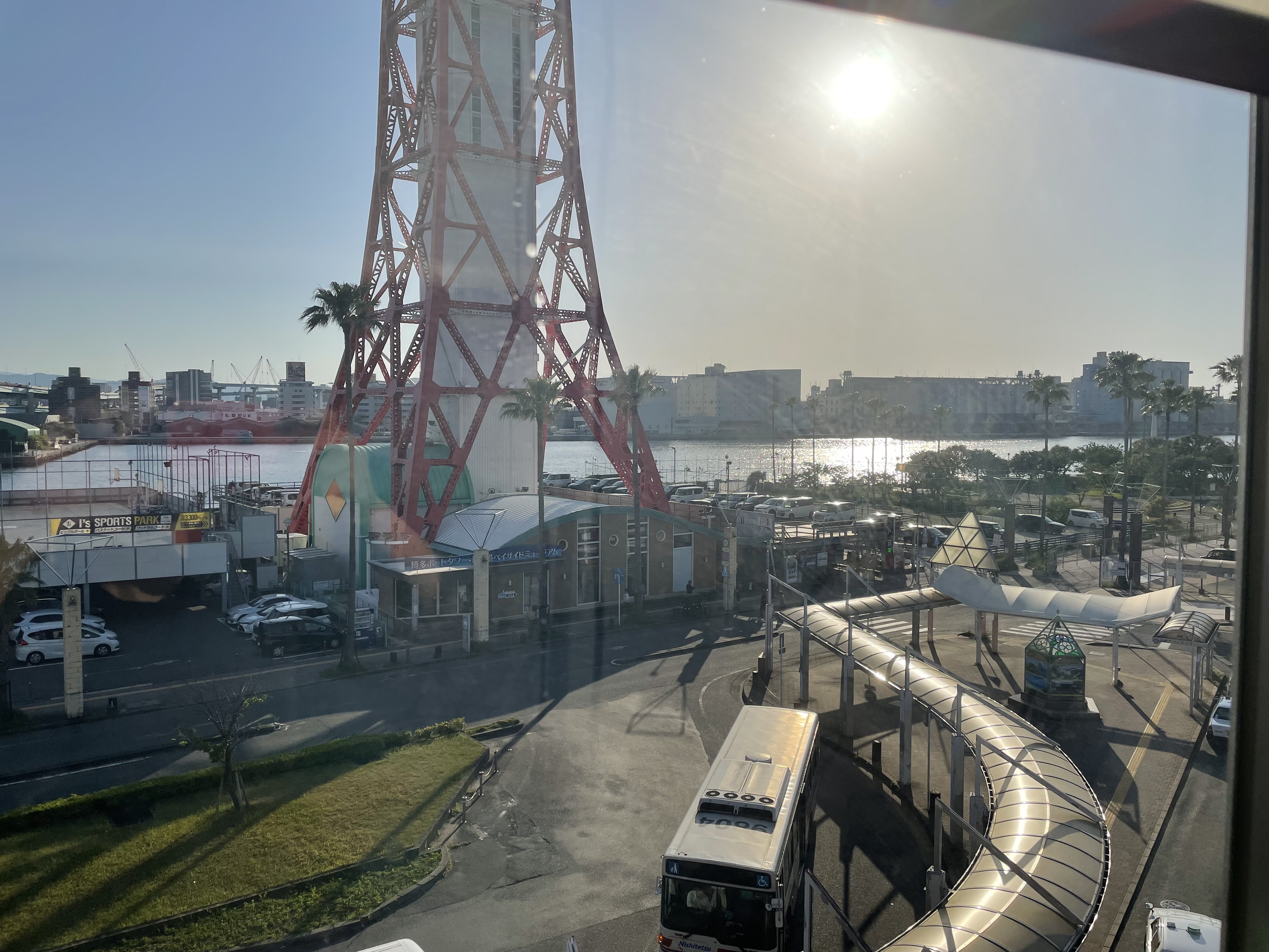 パラスポから見える海沿いの穏やかな景色